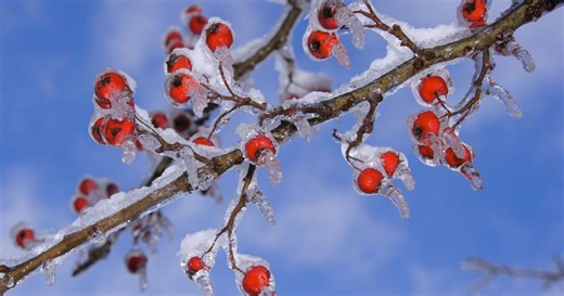 Flash freeze expected to hit parts of Ontario tonight and tomorrow — here’s what we know so far