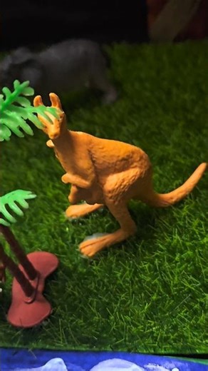 Types of Animals for kids Project#evs #ytshorts #youtubeshorts #shorts