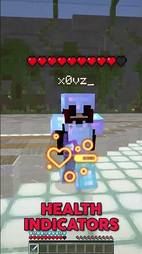 Health Indicators Mod | BlazingPack Client