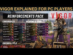 Vigor - VIGOR EXPLAINED FOR PC PLAYERS