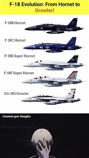 F-18 Evolution: From Hornet to Growler! #military #short