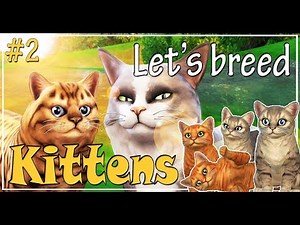 🐱 The Sims 4 Cats and Dogs | Gameplay | Let's play and breed kittens | Such cute kittens! | Ep. 2