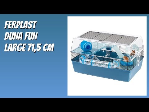 AVIS (2026) : Ferplast DUNA FUN LARGE 71,5 cm. DÉTAILS
