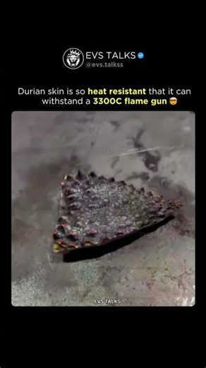 Durian Skin Can Survive 3300°C Flame Gun?! 🔥😱 | Insane Heat Resistance!