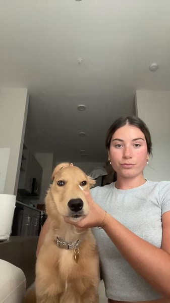 24K Gold Labubu: A Golden Retriever's Journey