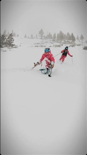 Adaptive Skiing in Deep Powder