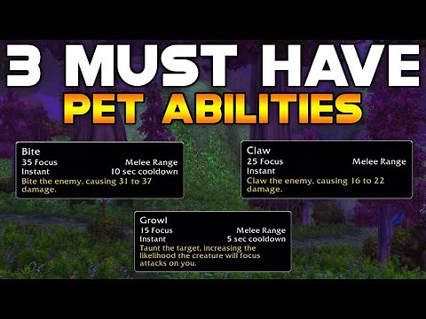 3 MUST HAVE HUNTER PET ABILITIES (And How To Get Them) - World of Warcraft Classic