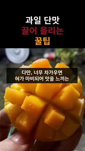 과일 단맛 끌어 올리는 꿀팁??