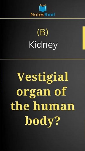 Which one is a vestigial organ of the human body?