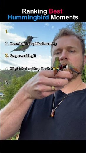 Ranking the Best Hummingbird Moments #shorts #memes #ranked #funny #funny videos