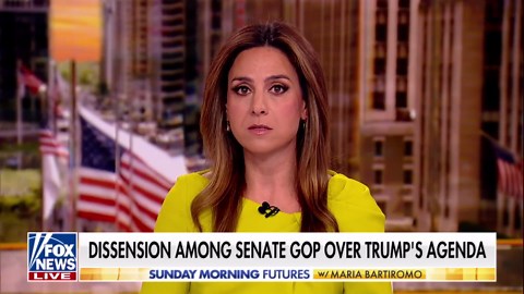 Sen. Johnson accuses Dems of 'sabotaging' Republican efforts to fund ICE, CBP