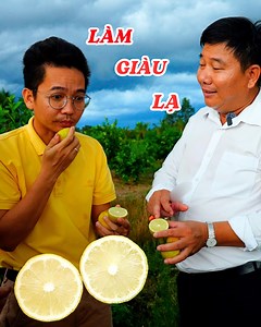 1.5M views · 30K reactions | Người đàn ông biến vùng đất phèn thành trang trại chanh vàng không hạt lớn nhất cả nước | Độc lạ Bình Dương | Facebook