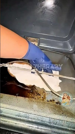 ASMR Stove & Oven Deep Clean (Satisfying Degreasing + Scrubbing)