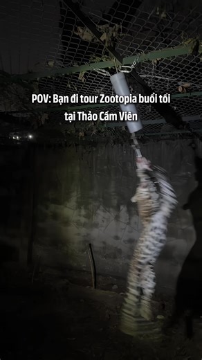 Lần đầu tiên đi tour đêm Zootopia tại Thảo Cầm Viên #thaocamvien #zoo #saigon