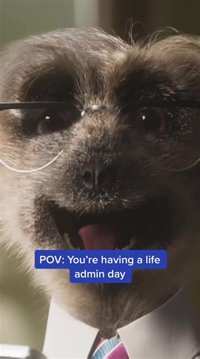 Compare the Market on TikTok