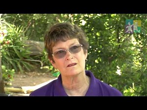 TAPS NQS PLP - Embedding sustainable practices Part 2 of 3