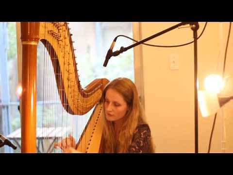 Can't Help Falling in Love - Elvis Presley (LIVE Harp Cover)