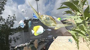 Frame Sixty Labs、Apple Vision用複合現実水族館アプリ「Aquarium Adventures」をリリース | Vision App | Mac OTAKARA