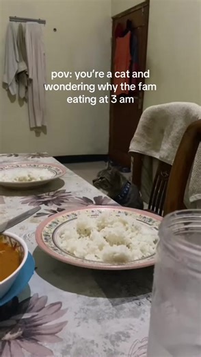 Cat's POV During Sahur: Confused by Early Breakfast