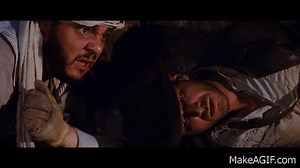 Asps, very dangerous on Make a GIF