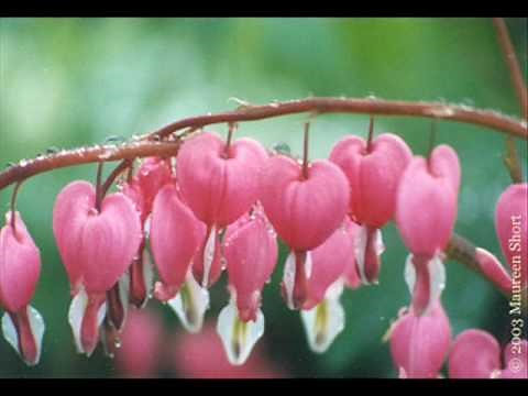 Code One- Sellest saab meie suvi