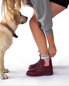 46K views · 596 reactions | Our everyday, waterproof boots are perfect for walks with your dog. Whether it’s across country fields or through city streets, our Chelsea-style boots are a warm and comfortable option. | Merry People | Facebook