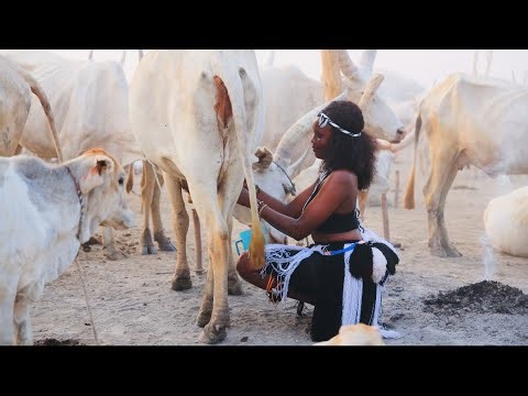 Biim Stephen Nuer e Dey (official music video)