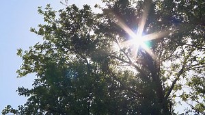 Examining Effects of Extreme Heat in Chicago’s Black Communities