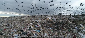 ✅ D'expéditions en innovations, ENERGY OBSERVER explore des solutions concrètes et développe des technologies pour accélérer la transition écologique. 🌍 Notre rôle ? Sensibiliser & fédérer autour de la question énergétique, et acculturer à la filière hydrogène : telle est l’ADN de l’Odyssée de notre navire-laboratoire autour du monde. | ENERGY OBSERVER