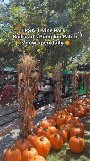 The 2025 Pumpkin Patch at Irvine Park Railroad is now OPEN DAILY through Halloween! 🎃✨ Activities: 🚂 Train Rides 🌾 Hay Rides 🎈 Moon Bounce 🚜 John Deere Racers 🍪 Cookie Decorating 🎣 Gone Fishing 🎯 Carnival Games 🏀 Bank-a-Ball 🎃 Ring-a-Pumpkin ✨ Pumpkin Decorating 🎨 Face Painting ⛏ Panning for Gold 🚧 Mini Diggers 🌾 Hay Maze (Free) 👻 Haunted House (Free) 📅 Sept 13 – Oct 31 ⏰ Mon–Fri 10am–6pm | Sat–Sun 8am–6pm 🎟 Activity tickets $8 each | Book of 15 for $100 (save $20) 📌 Reservation