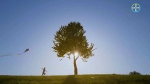 Bayer AG TV Spot, 'The Seed of a Vision'