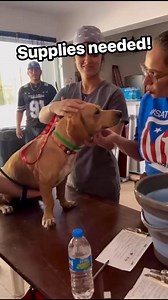 5.2K views · 114 reactions | We’re making it easier than ever for our...