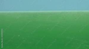 Green stagnant water bubbling, contamination and ecology, industrial waste