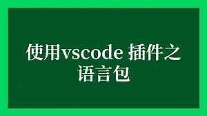 使用vscode 插件之语言包
