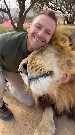 This man has the most wholesome friendship with a Lion! 😍 | Lovimals