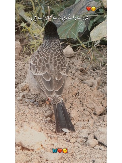 Powerful Bayan by Pir Ajmal Raza Qadri | Beautiful Islamic Reminder | Emotional Islamic Speech