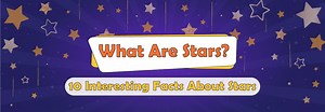 25 Essential Facts About Stars: A Complete Educational Guide