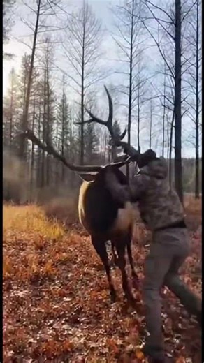 He Jumped Out of a Tree Stand and WRESTLED an Elk?! 😳🦌💥