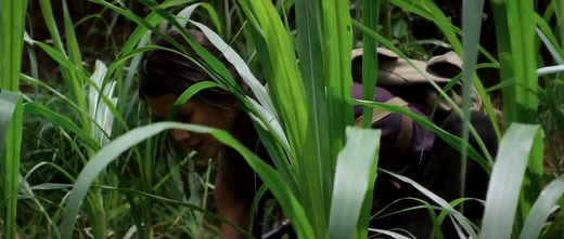 Beyond Skyline [2017] English