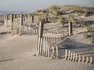 $21.5 Million To Beach Replenishment In Ocean City