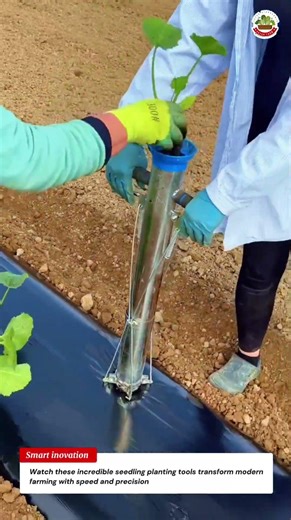 Amazing Seedling Planting Tools That Make Farming 10x Faster