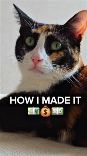 Should you get a calico cat? 👑 (Personality POV)