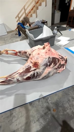 Duff J on Instagram: "Butchering the back half of my Buck. I take a lot of pride in butchering animals and leaving no fat, no hair, and no glands left. Just pure organic meat!"