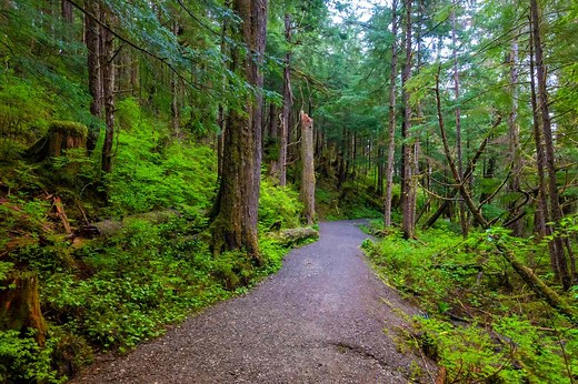 The Largest Temperate Rain Forest in the World Is in the U.S.—and It Has Stunning Glaciers and Fjords