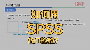 保姆级教学版：零基础必看！单样本 t 检验 SPSS 操作全流程（从数据录入到 P 值判断）