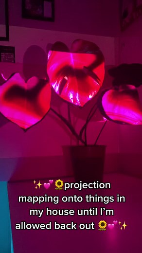 DIY Projection Mapping Art on Household Items