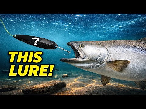 Lake Ontario Fishing | Catching Big Salmon With These Lures