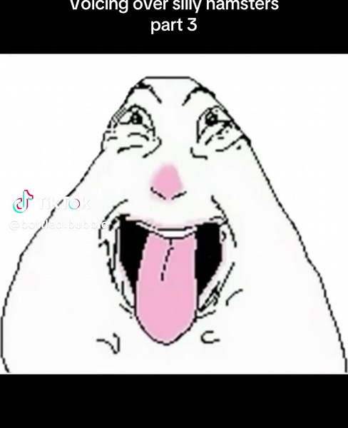 I might re-do the 3rd one 😔🥀 #hamster #fyp #meme #funny #voiceover thank you all for so much love ❤️‍🩹