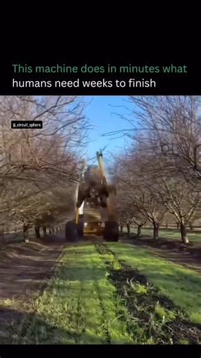 Circuit Sphere on Instagram: "This massive machine is redefining how orchards are maintained. Using mechanized pruning, it moves row by row with hydraulic arms and rotating cutters. Trimming thousands of trees to exact height and width in minutes. The precision isn’t just for speed. It improves airflow, sunlight exposure, and overall tree health while drastically reducing disease risk. What once took weeks of manual labor can now be done in hours with machine-level accuracy. Modern agriculture i