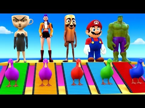 Spiderman Takes the Longest Slide Ever with Elephant, Gorilla & Tiger! 🐘🦍🐯